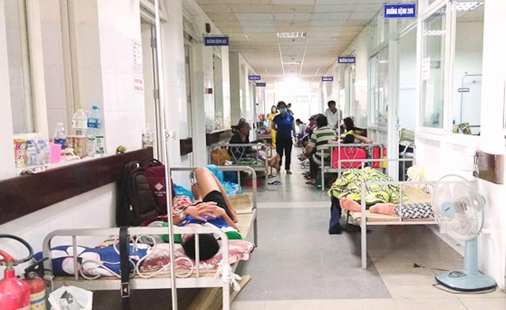 Đà Nẵng: Bệnh nhân quá tải vì sốt xuất huyết - Hình 1