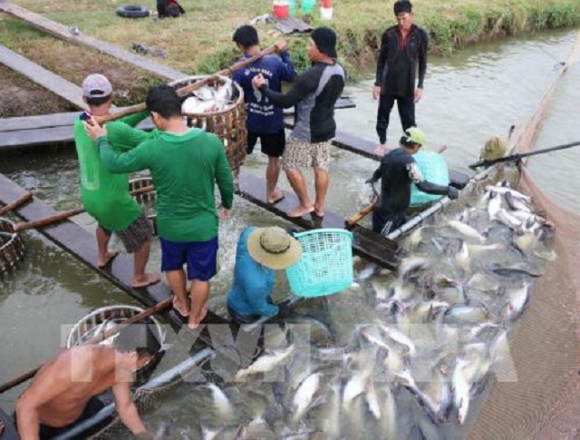 An Giang: "Trải thảm" mời gọi doanh nghiệp về đầu tư