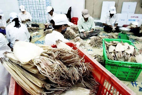 10 tháng đầu năm, xuất khẩu mực, bạch tuộc đạt hơn 542 triệu USD - Hình 2