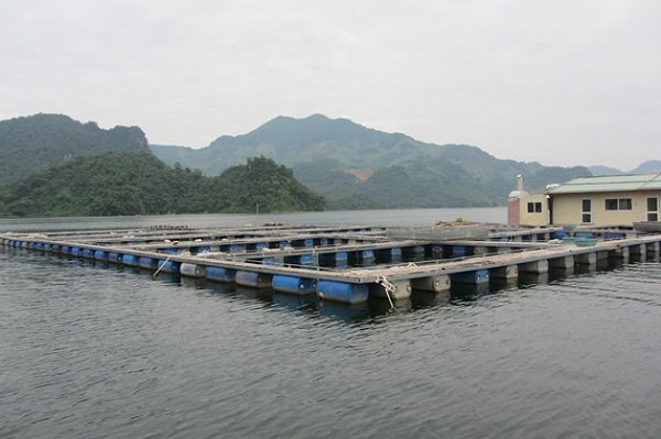 Hà Nội: Điều chỉnh quy mô 9 mô hình thủy sản