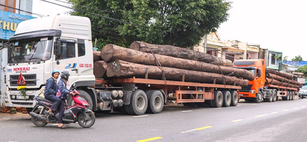 Trạm CSGT Thăng Bình (Quảng Nam): Bắt giữ 4 container chở hàng trăm tấn gỗ không rõ nguồn gốc