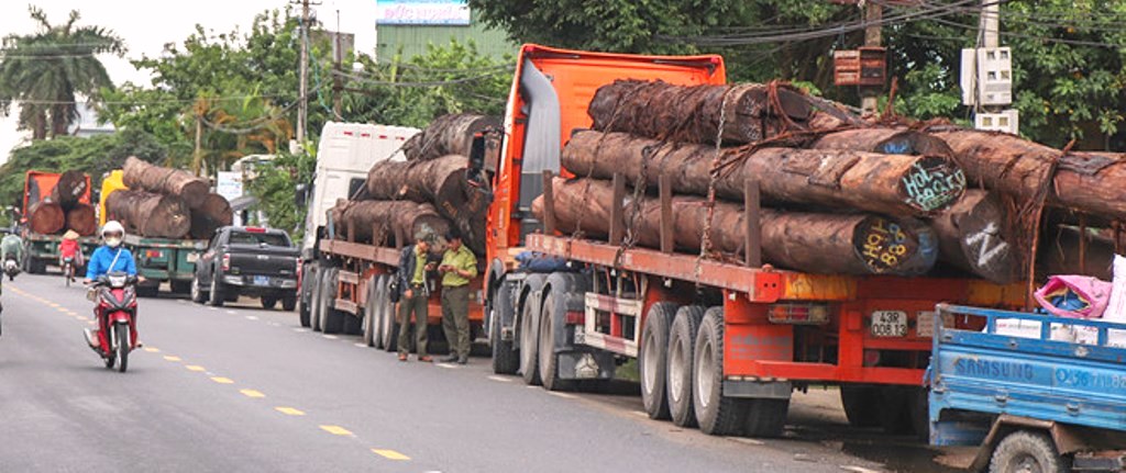Trạm CSGT Thăng Bình (Quảng Nam): Bắt giữ 4 container chở hàng trăm tấn gỗ không rõ nguồn gốc - Hình 2