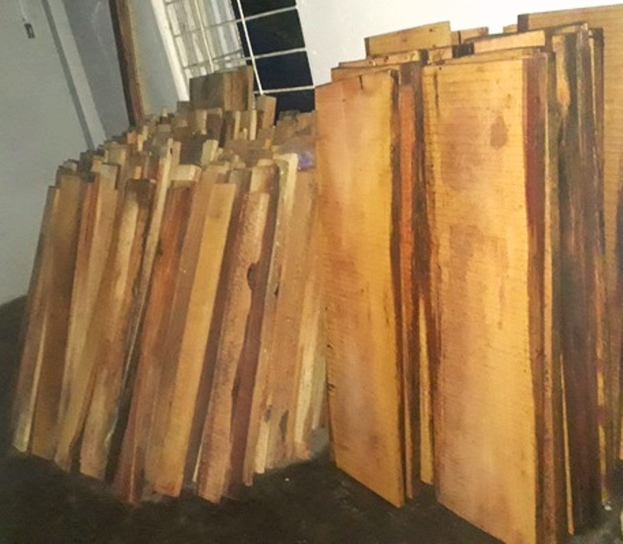 Quảng Nam: Giám đốc Thủy điện Sông Tranh 3, cất giấu gỗ rừng trái phép - Hình 1