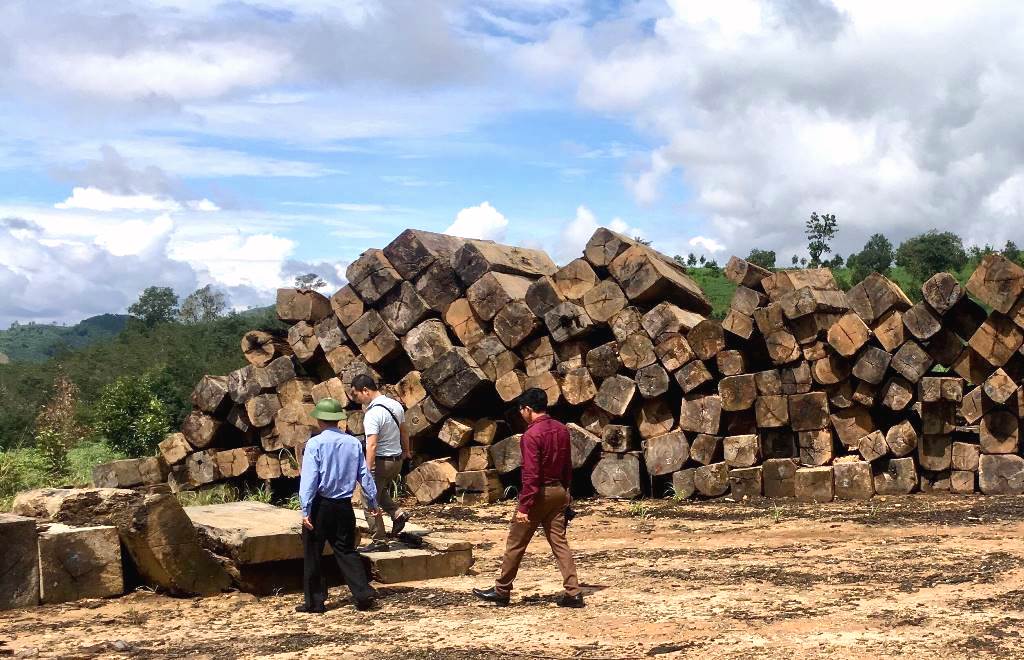 Kon Tum: Phát hiện gần 2.000 mét khối gỗ vi phạm - Hình 1