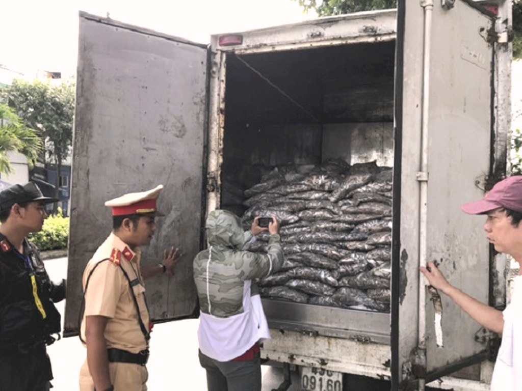 Đà Nẵng: Bắt giữ 3,5 tấn cá đã phân hủy bốc mùi hôi thối nồng nặc - Hình 1