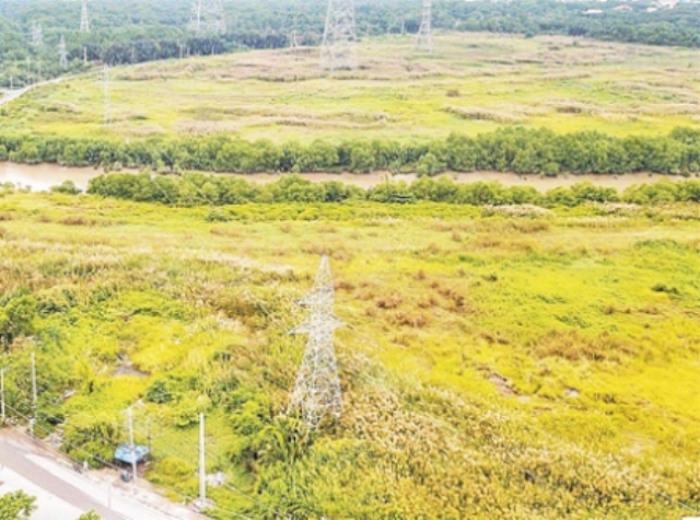 TP.HCM: Chấn chỉnh công tác quản lý và sử dụng đất công