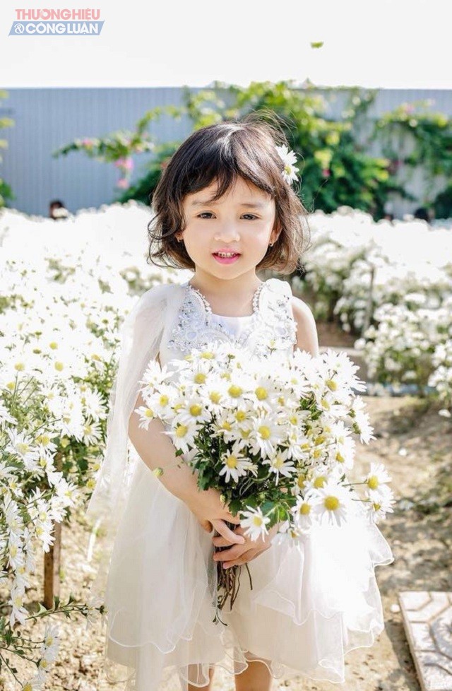 Hà Nội: Giới trẻ mê mẩn, hào hứng “khoe sắc” bên Cúc họa mi - Hình 3