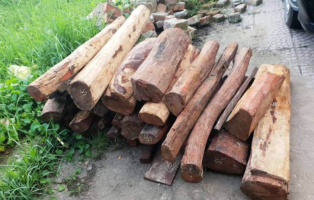 Hà Tĩnh: 300 kg gỗ trắc 