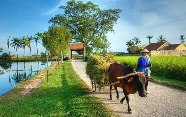 Đẩy nhanh giải quyết nợ đọng xây dựng cơ bản các dự án nông thôn mới