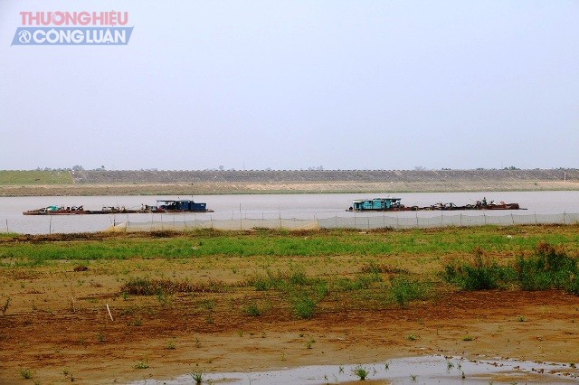 Thanh Hóa: Chỉ trên 20% tàu thuyền khai thác, vận chuyển cát đăng ký, đăng kiểm