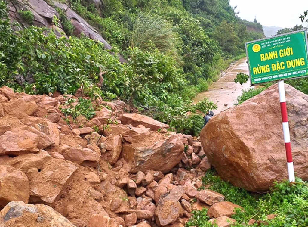 Bán đảo Sơn Trà( Đà Nẵng): Các tuyến đường sạt lở nghiêm trọng - Hình 2