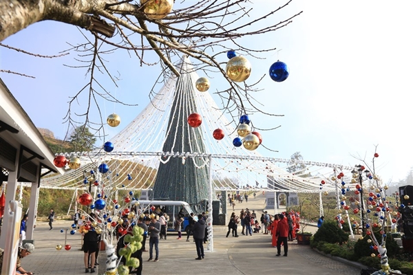 Du khách đổ lên Fansipan chiêm ngưỡng “cây thông Noel đẹp nhất châu Âu” - Hình 2