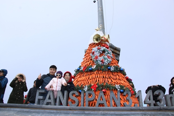 Du khách đổ lên Fansipan chiêm ngưỡng “cây thông Noel đẹp nhất châu Âu” - Hình 5
