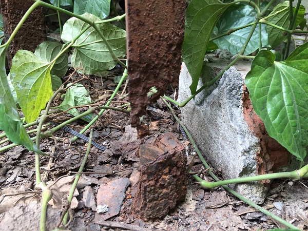 An Dương (Hải Phòng): Ban QLDA bị người dân tố không trả tiền Quảng cáo và trốn tránh trách nhiệm?