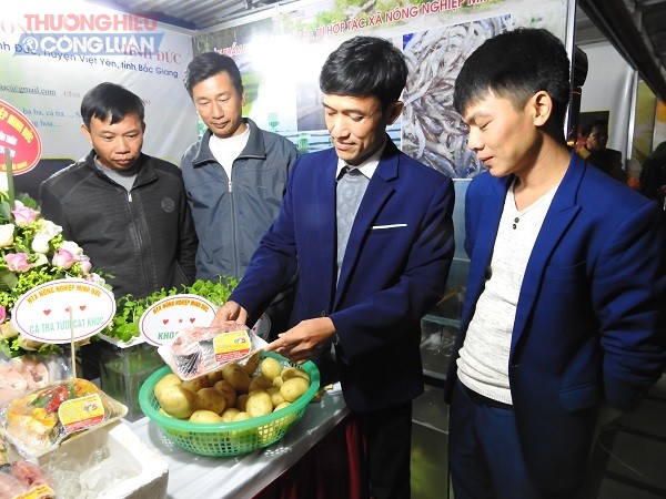 Huyện Việt Yên (Bắc Giang): Long trọng tổ chức Lễ đón bằng công nhận huyện đạt chuẩn NTM - Hình 2