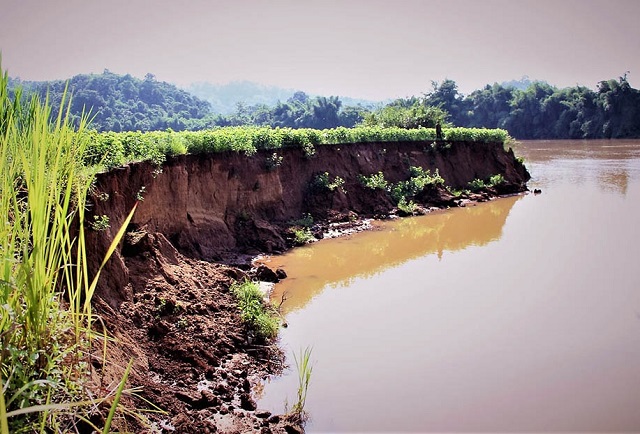 Sông Đồng Nai sạt lở nghiêm trọng, hàng loạt giấy phép khai thác cát bị thu hồi - Hình 1