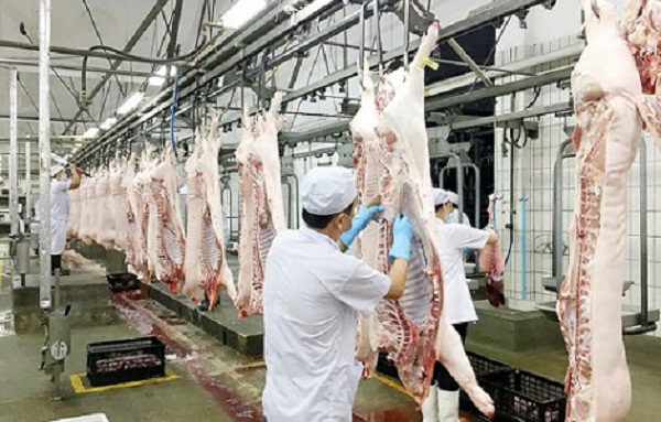 Năm 2019, sản xuất thịt lợn của Việt Nam đứng thứ 6 thế giới - Hình 1