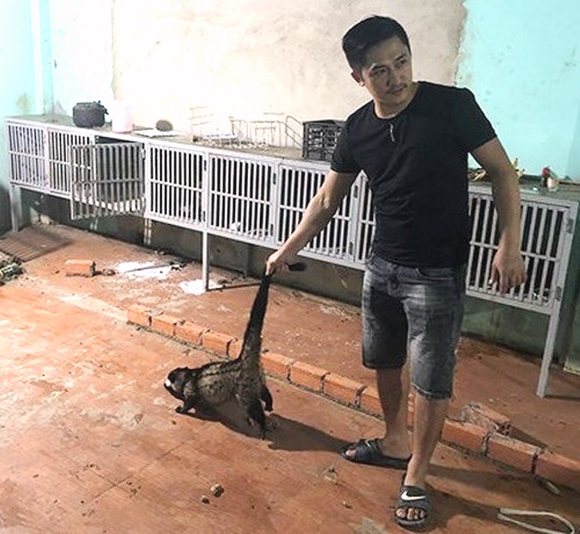 Đăk Lăk: Phát hiện thu giữ hơn 50 cá thể động vật hoang dã trái phép - Hình 1