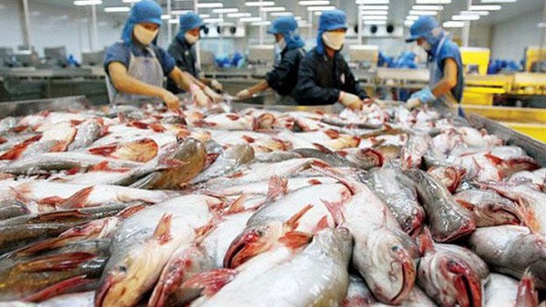 Mỹ trở lại là thị trường số một nhập khẩu cá tra của Việt Nam - Hình 1