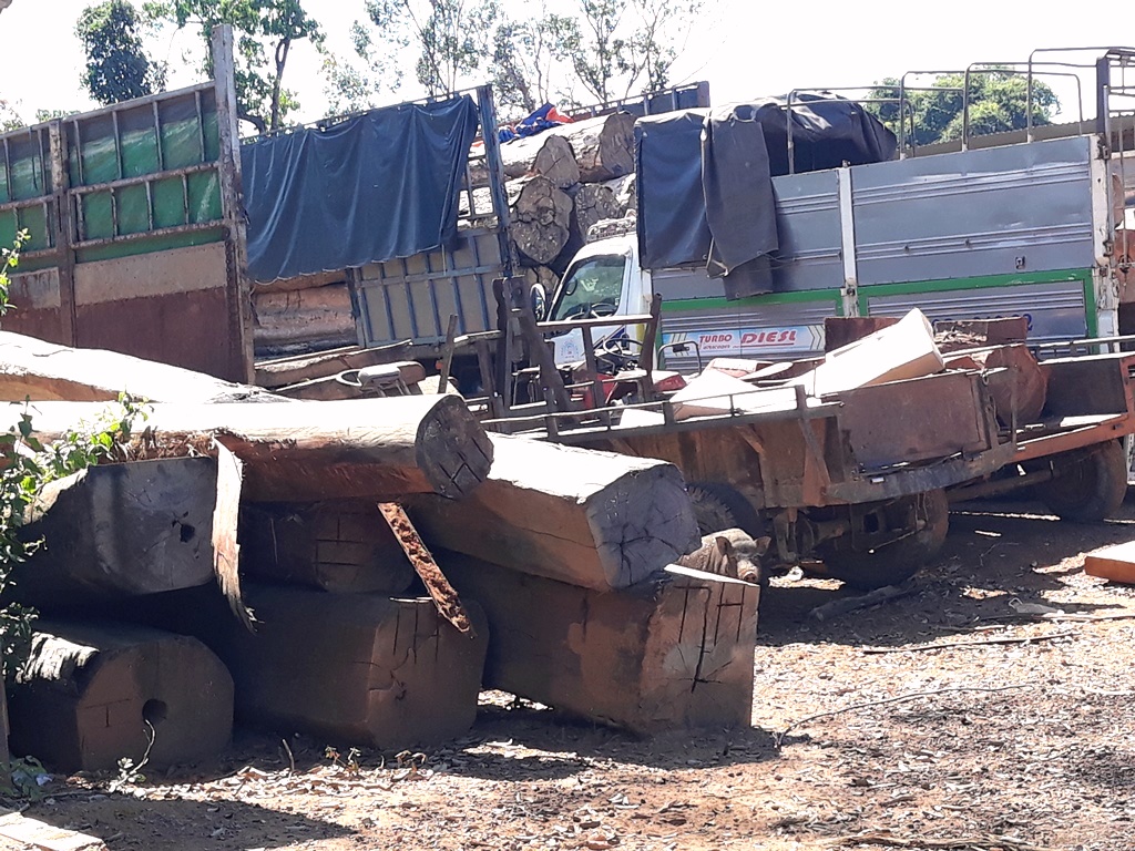 Kon Tum: Liên tiếp phát hiện nhiều vụ vận chuyển gỗ lậu