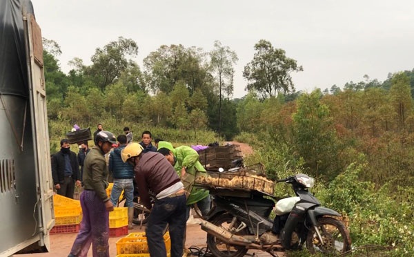Ban hành Công điện khẩn về việc ngăn chặn tình trạng nhập lậu trái phép động vật vào VN