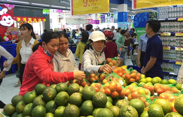 Hà Nội: Phát triển chợ thương mại điện tử tiêu thụ sản phẩm nông nghiệp an toàn - Hình 1