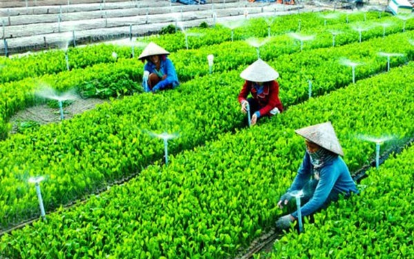 Hơn 26.816 tỷ đồng đầu tư cho xây dựng nông thôn mới