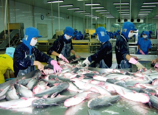 Năm 2018, xuất khẩu cá tra sang thị trường ASEAN có nhiều thuận lợi - Hình 1