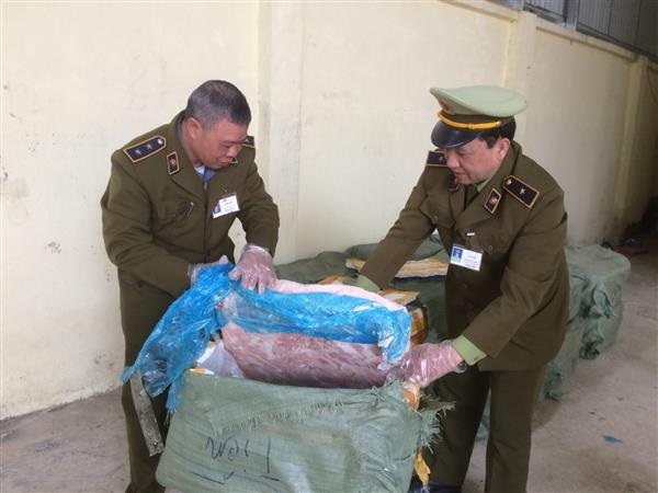 QLTT Lạng Sơn: Thu giữ 1.500 kg nầm lợn nhập lậu đã hỏng - Hình 1
