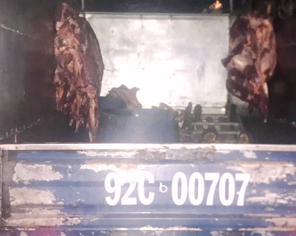 Đà Nẵng: Thu giữ nửa tấn thịt bò không có giấy kiểm dịch