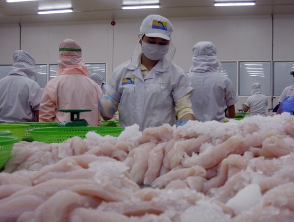 Xuất khẩu cá tra sang thị trường ASEAN tăng 43,7%