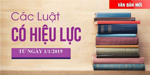 Những Luật nào sẽ có hiệu lực thi hành từ ngày 1/1/2019?