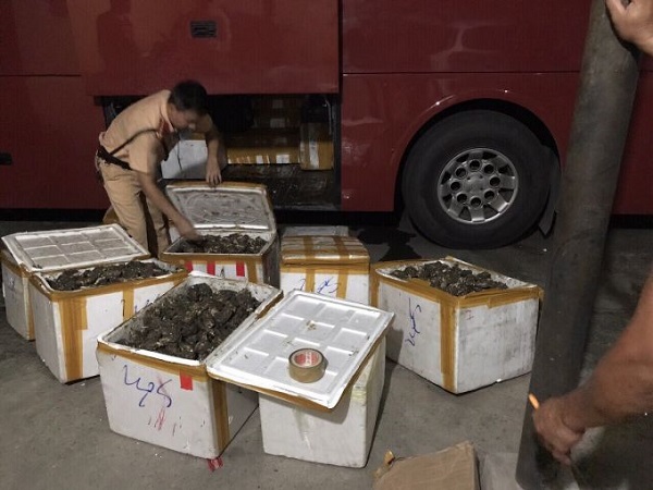 Quảng Ninh xử lý gần 2000 vụ buôn lậu, gian lận thương mại và hàng giả - Hình 1