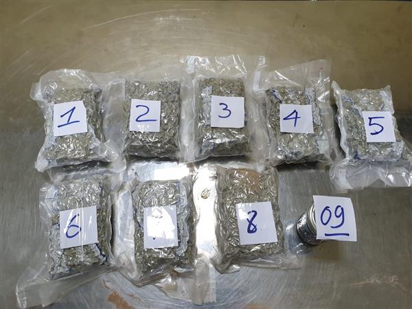 Hải quan Tân Sơn Nhất bắt giữ 2,3kg ma túy từ Mỹ về Việt Nam - Hình 1