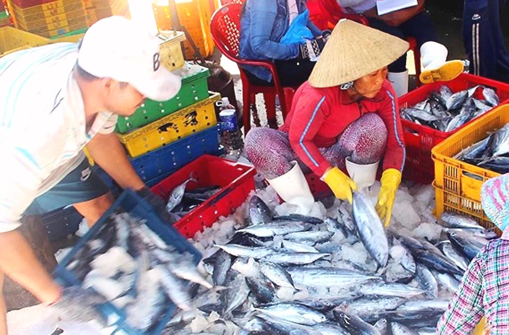 Bình Định: Hơn 200 công nhân ngộ độc vì ăn cá ngừ