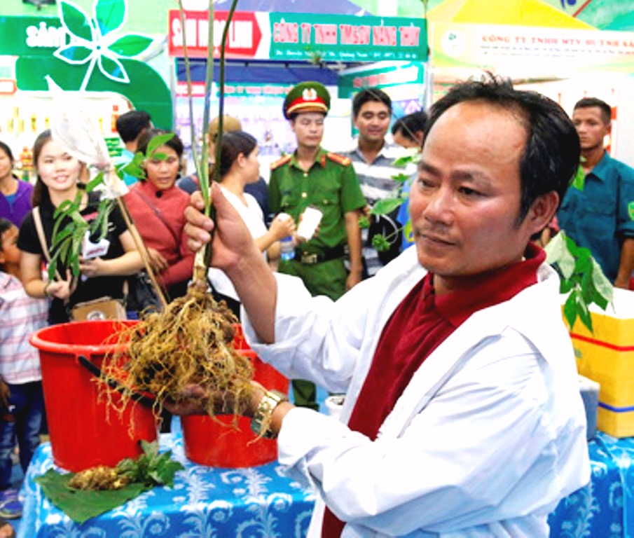 H. Nam Trà My-Quảng Nam: Phiên chợ sâm Ngọc Linh đầu năm mới 2019 đã thu về 4 tỷ đồng