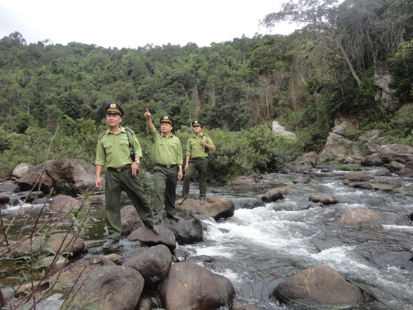 Bắc Giang: Xử phạt 116 vụ vi phạm về quản lý rừng trong năm 2018 - Hình 1
