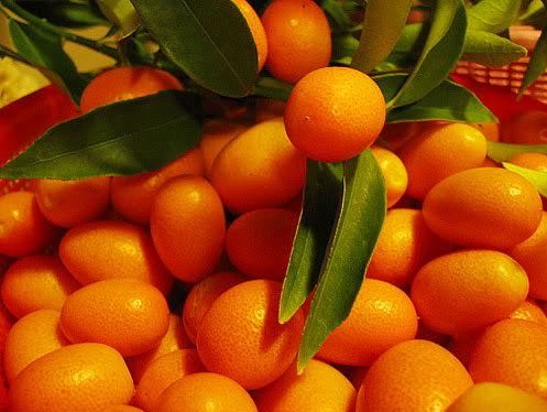 Giá cao ngất ngưởng quất Nhật vẫn được người Việt săn lùng?