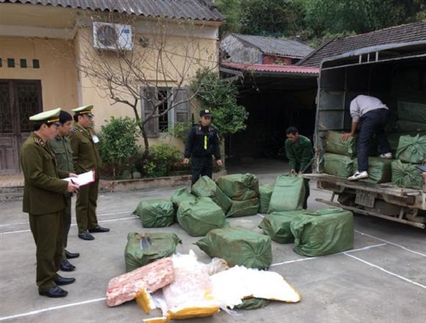 QLTT Lạng Sơn: Tiêu hủy 2,3 tấn nầm lợn nhập lậu từ Trung Quốc - Hình 1