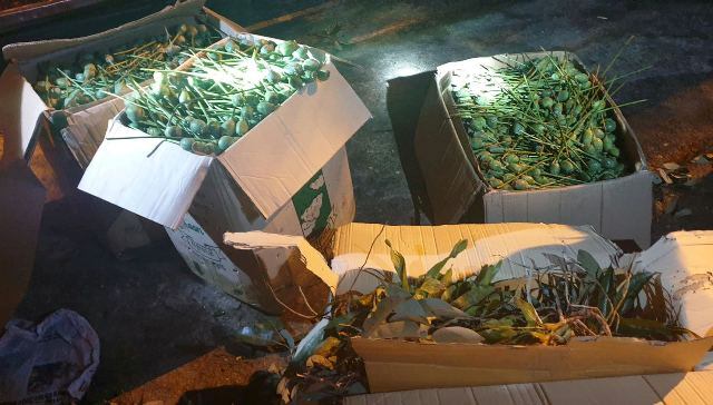 Hà Tĩnh: Phát hiện 64 kg quả thuốc phiện trên xe khách