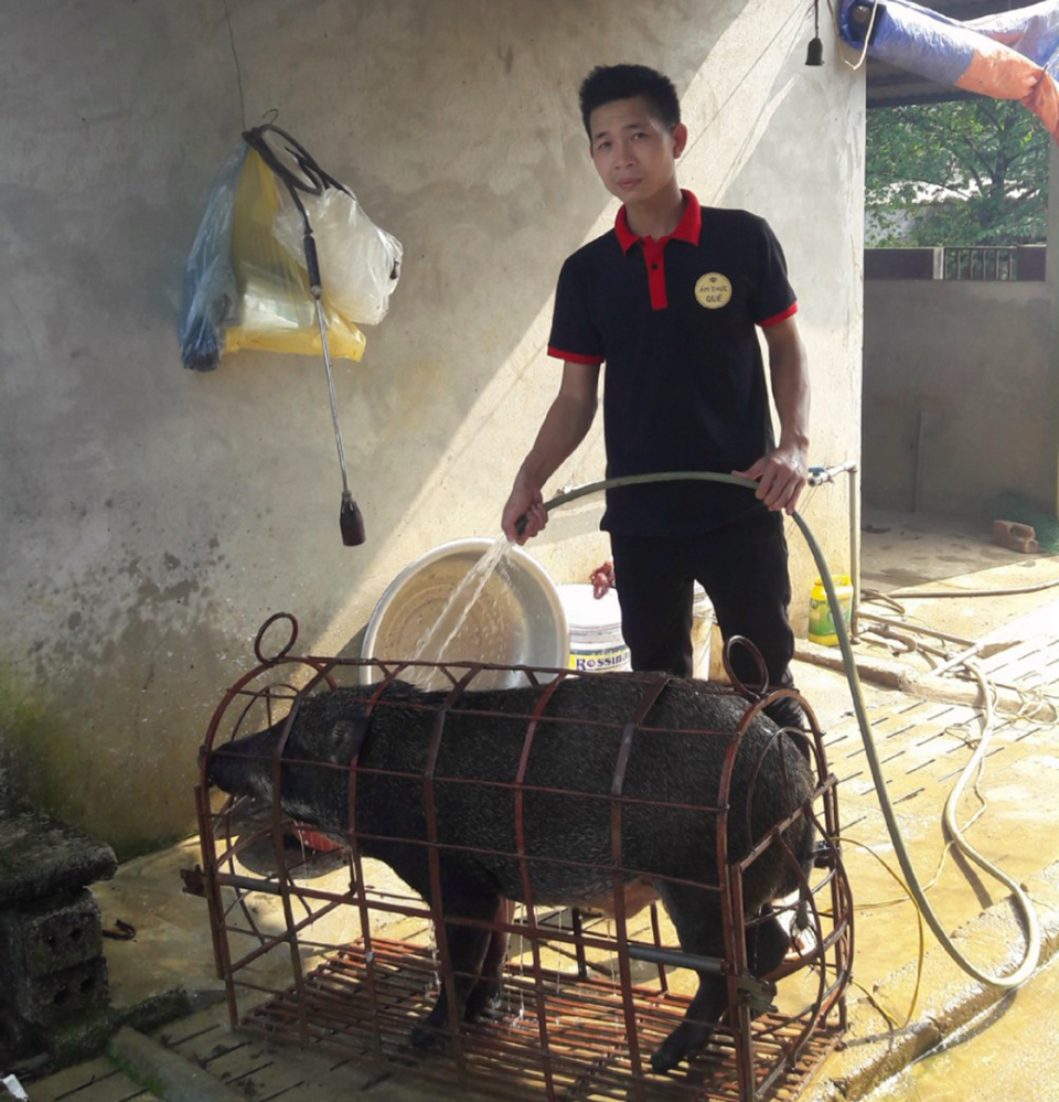 Gặp gỡ CEO trẻ của Hòa Lạc Farm với mô hình “từ trang trại đến bàn ăn” - Hình 1