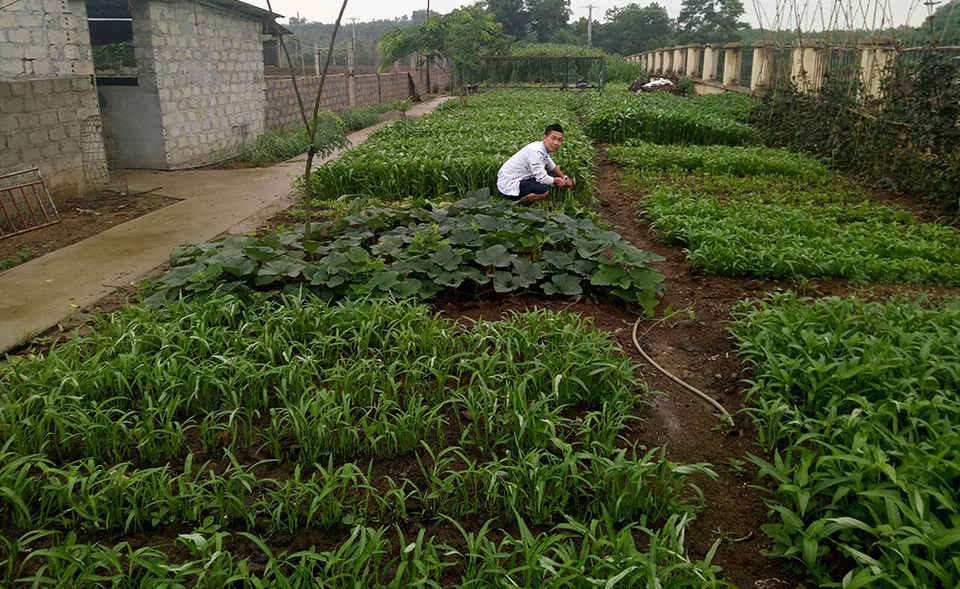 Gặp gỡ CEO trẻ của Hòa Lạc Farm với mô hình “từ trang trại đến bàn ăn”