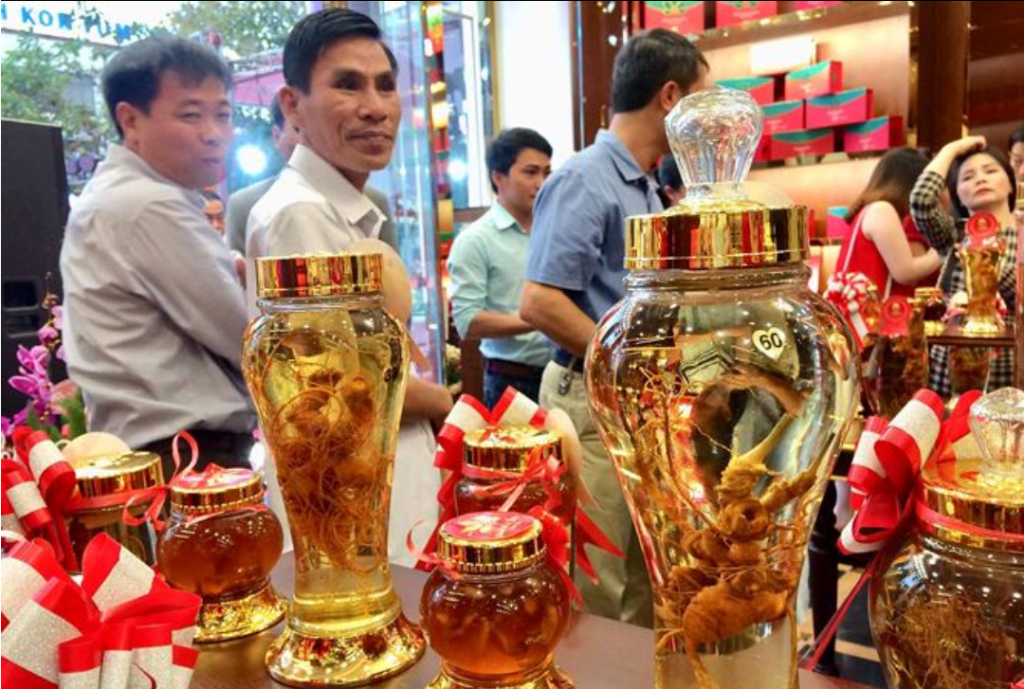 Kon Tum : Lần đầu tiên các sản phẩm được chế biến từ sâm Ngọc Linh trình làng