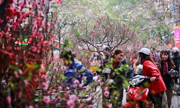 Hà Nội: Tổ chức 64 điểm chợ Hoa Xuân phục vụ Tết Nguyên đán Kỷ Hợi năm 2019 - Hình 1