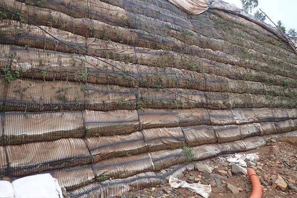 Khánh Hoà cần làm rõ dấu hiệu liên quan sai phạm tại Dự án Đồi xanh - Hình 4