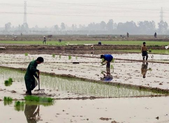 Ngày 21/1, bắt đầu xả nước hồ thủy điện để gieo cấy vụ xuân 2019