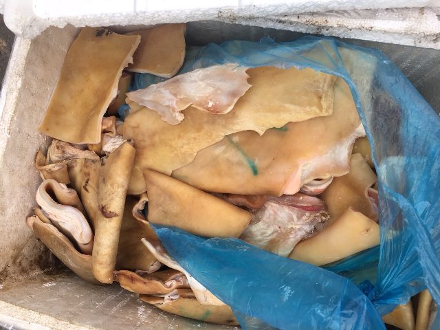 Hà Tĩnh: Thu giữ hơn 100 kg da động vật không rõ nguồn gốc