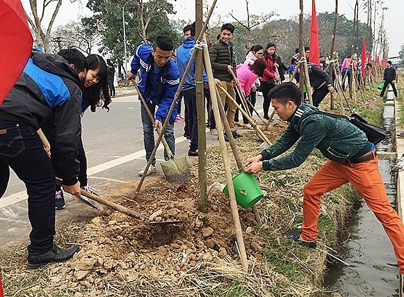 Hà Nội: Trồng mới khoảng 400.000 cây đô thị, cây bóng mát, cây lấy gỗ