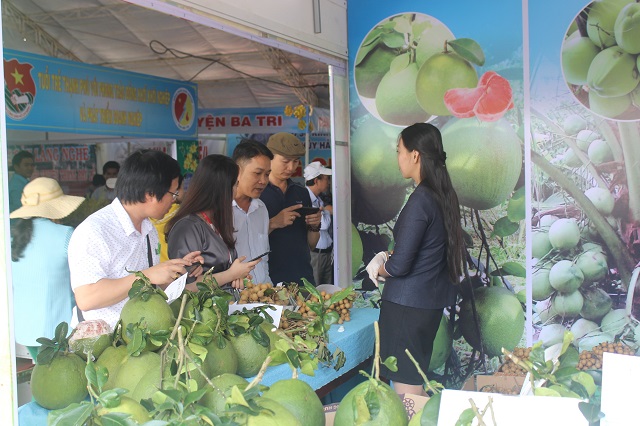 Hội chợ Giới thiệu sản phẩm OCOP tỉnh Bến Tre - lần đầu tiên tại Tp. Hồ Chí Minh - Hình 3