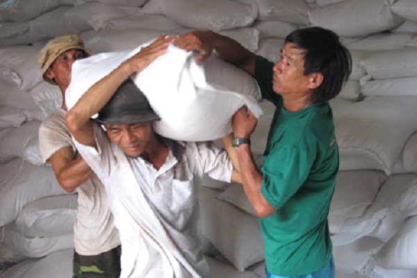Xuất gạo dự trữ quốc gia cho tỉnh Gia Lai - Hình 1